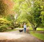 Johanna River Farm  Cottages - Hotel Accommodation