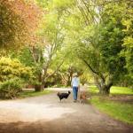 Johanna River Farm & Cottages - Hotel Accommodation 0