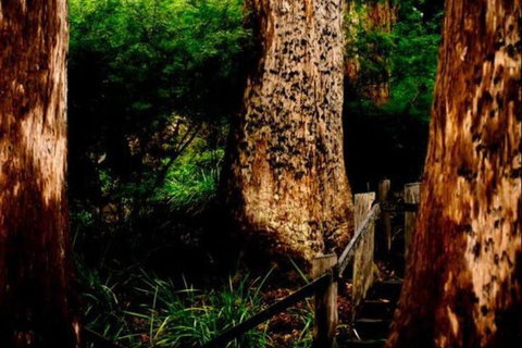 Billa Billa Farm Cottages - Hotel Accommodation 2