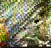 Cashelmara Beachfront Apartments - Hotel Accommodation