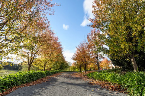 Montfort Manor - Hotel Accommodation 0