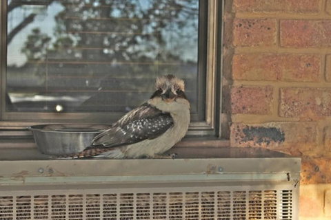 The Vineyard Motel - Hotel Accommodation 6