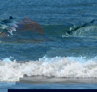 Summerhills Retreat Byron Bay - Hotel Accommodation