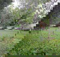 Amy's House - Hotel Accommodation