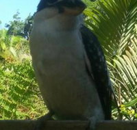 Tropic Oasis Holiday Villas - Hotel Accommodation