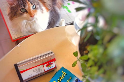 Mission Reef Resort - Hotel Accommodation 6