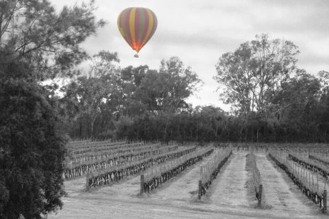 Adina Vineyard - Hotel Accommodation 5