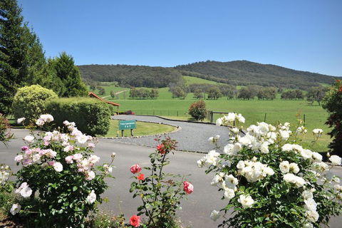 Langbrook Estate Cottages - Hotel Accommodation 1