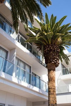 The Palms Apartments - Hotel Accommodation 0