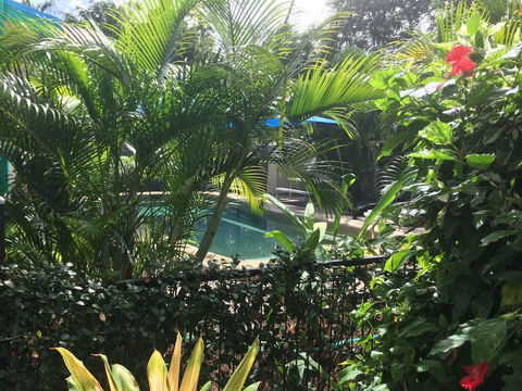 Tropical Palms - Hotel Accommodation 2