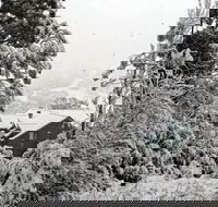 Alpenhorn - Hotel Accommodation