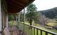Toorongo River Sanctuary - thumb 6