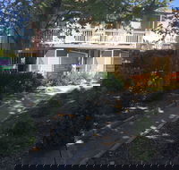 Alloggio Bathurst Apartments - Hotel Accommodation