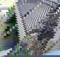 Swan Lake Guest House - Hotel Accommodation