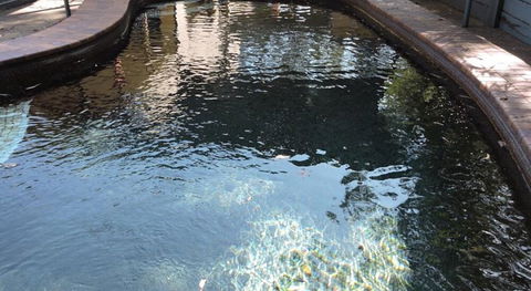 Town & Country Motel - Hotel Accommodation 0