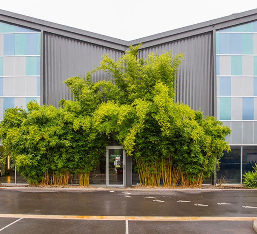 Bedford Park SA Hotel Accommodation