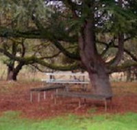 Auburn Shiraz Motel - Hotel Accommodation