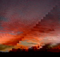 City Centre Motel - Hotel Accommodation