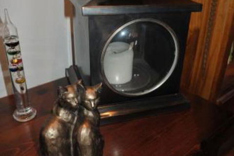 The Pommy Tree - Hotel Accommodation 2