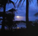 Sejala Beach Huts - Hotel Accommodation