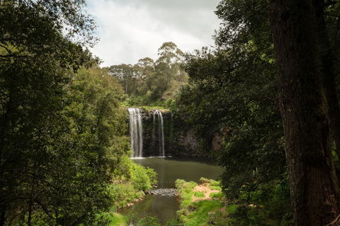 The Belfry Guesthouse - Hotel Accommodation 3