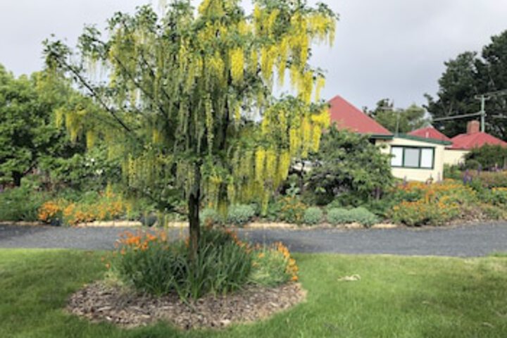 Fentonbury TAS Hotel Accommodation