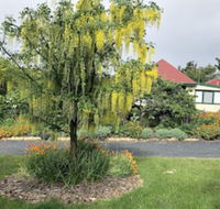 Hamlet Downs Country Accommodation - Hotel Accommodation