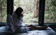 Woodlands Rainforest Retreat - thumb 5