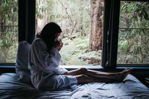 Woodlands Rainforest Retreat - Hotel Accommodation 5