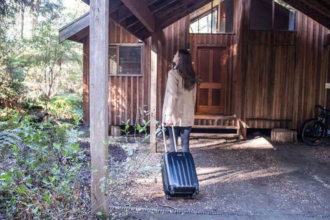 Woodlands Rainforest Retreat - Hotel Accommodation 1