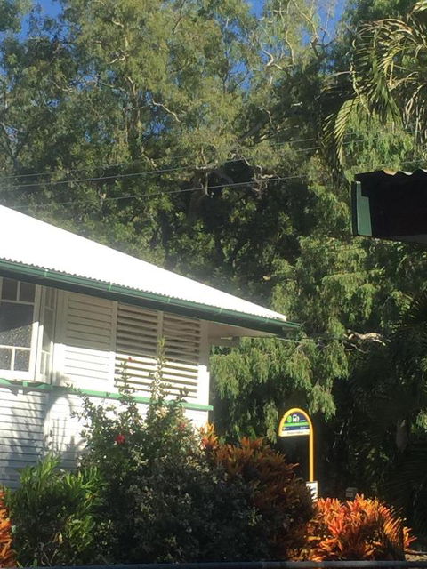 Daggoombah Holiday Home Magnetic Island - Hotel Accommodation 6