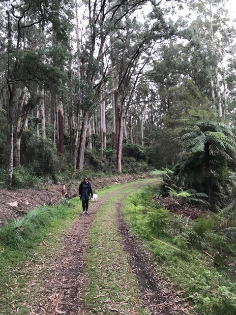 Warburton Holiday House - Hotel Accommodation 3