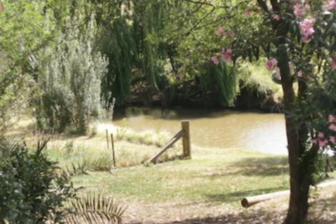 Kellys Motel Oakey - Hotel Accommodation 5