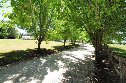 Daisy Cottage - Hotel Accommodation 7