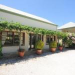 Daisy Cottage - Hotel Accommodation 1