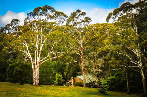 Ghost Hill Road Retreat - Hotel Accommodation 6