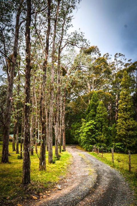 Ghost Hill Road Retreat - Hotel Accommodation 2