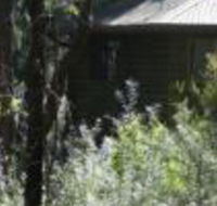 Twin Falls Bush Cottages