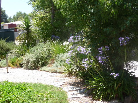 Country Bakehouse Accommodation - Hotel Accommodation 1