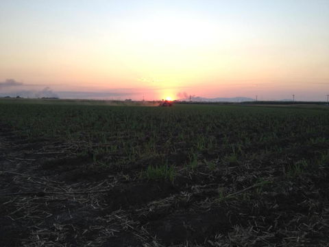 Plantation Park Motor Inn - Hotel Accommodation 5