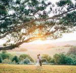 Cedia at Byron Bay Hinterland - Hotel Accommodation