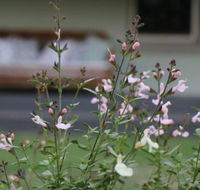 Serendipity on Allyn - Hotel Accommodation