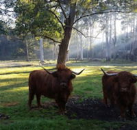 Dingley Dell - Hotel Accommodation