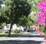 BIG 4 Hay - Hotel Accommodation