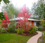 Dalrymples Guest Cottages - Hotel Accommodation