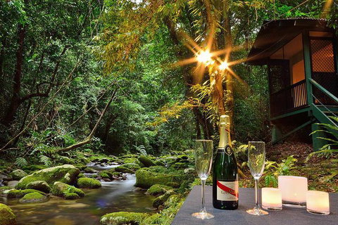 Misty Mountains Rainforest Retreat - Hotel Accommodation 3