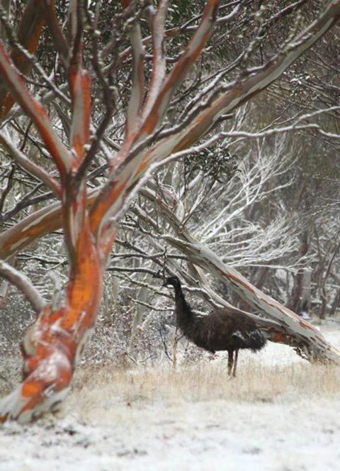 Cape Cod - Hotel Accommodation 3