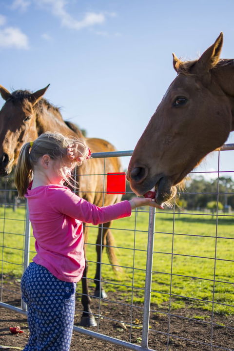 Freshwater Creek Cottages And Farm Stay - Hotel Accommodation 0