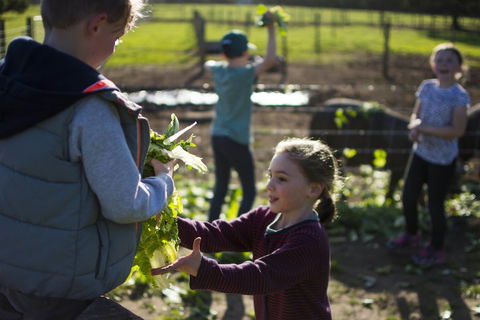 Freshwater Creek Cottages And Farm Stay - Hotel Accommodation 3