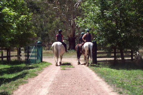 Halls On Falls Homestead - Hotel Accommodation 3
